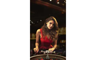 Live Roulette European — Platipus